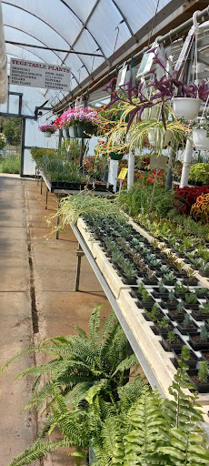 Florist «Pletschers», reviews and photos, 641 Old Hwy 8 SW, New Brighton, MN 55112, USA