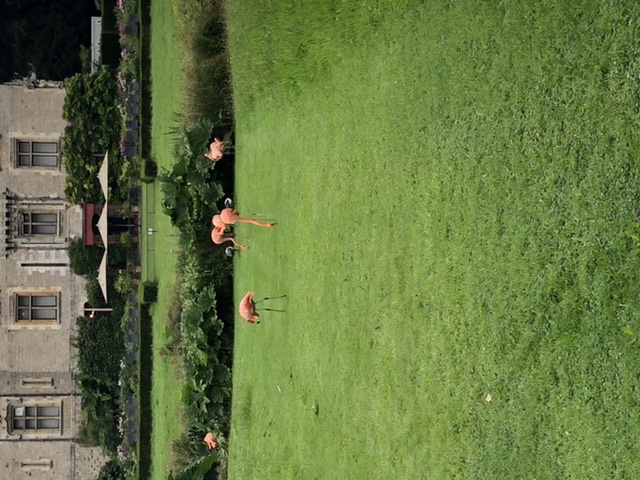 Photo n° 6 de l'avis de Caroline.e fait le 20/08/2021 à 15:40