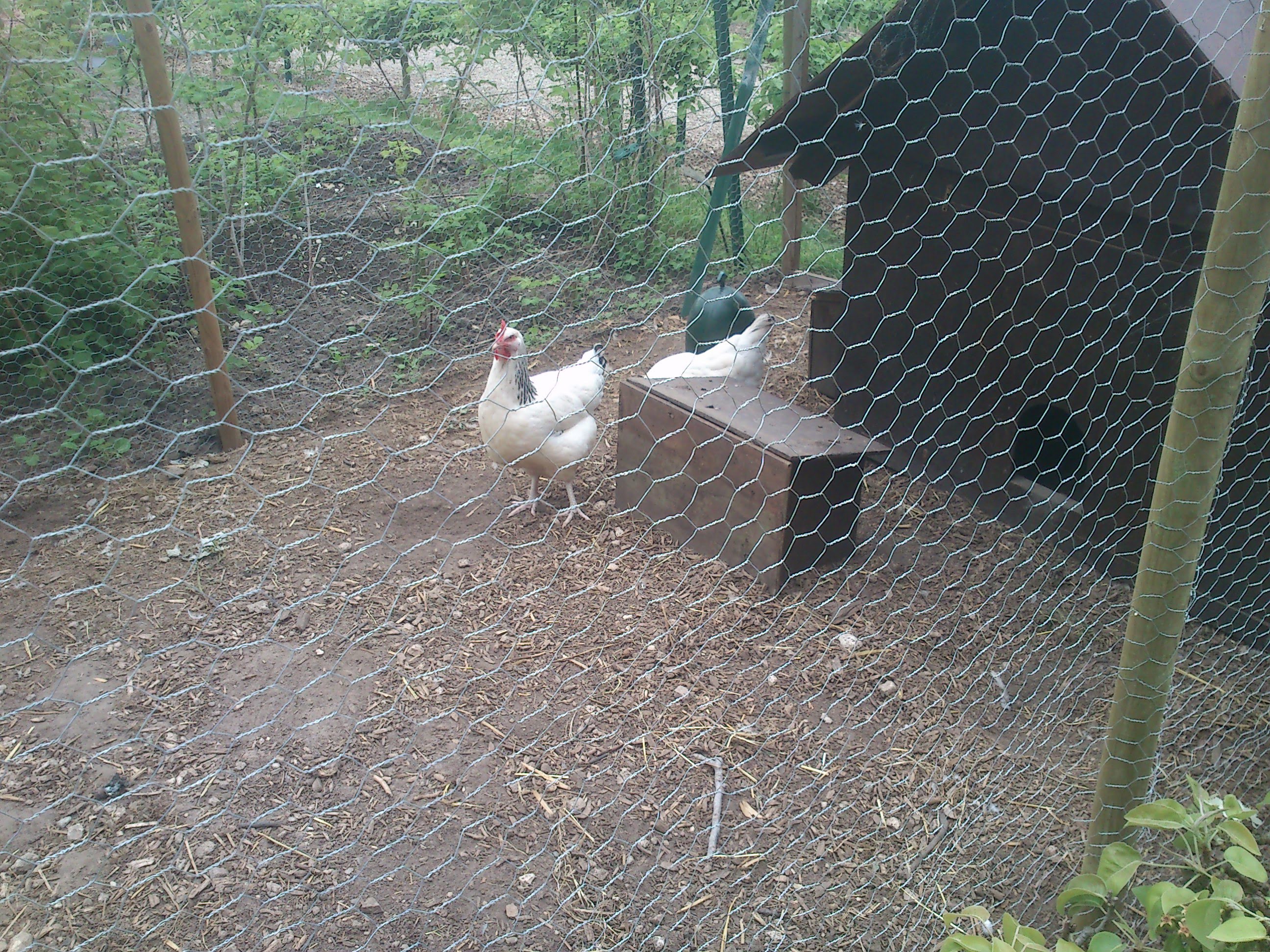Photo n° 47 de l'avis de Guillaume.A fait le 10/05/2013 à 20:15