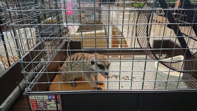 ホームセンタームサシ姫路店 兵庫県姫路市広畑区夢前町 ホームセンター グルコミ