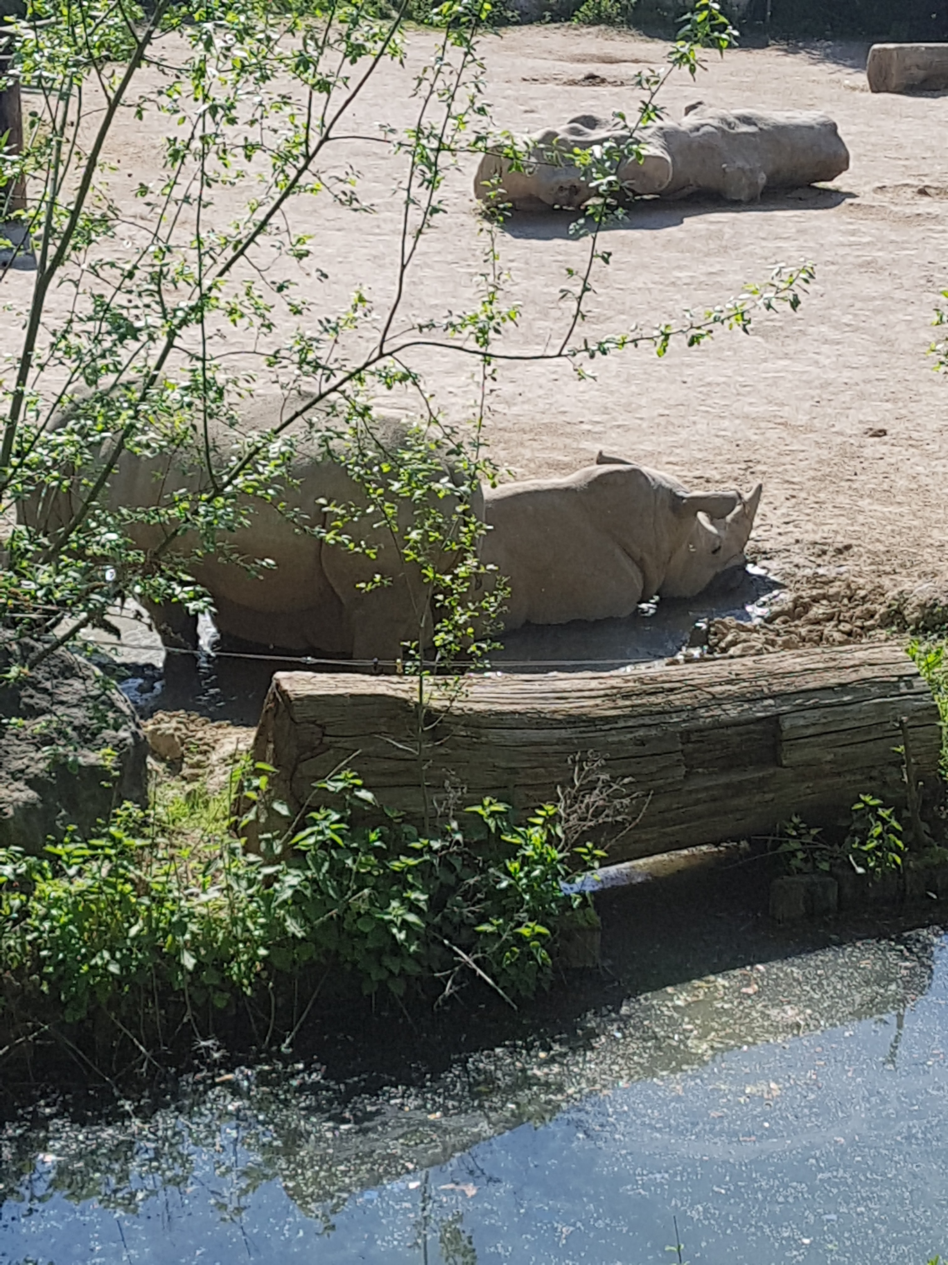 Photo n° 14 de l'avis de Celia.a fait le 30/04/2019 à 08:20