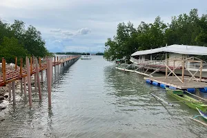 Samal Island image