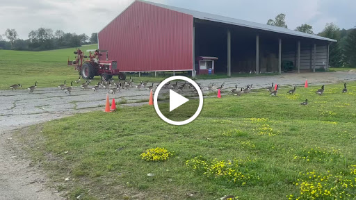 Garden «Wethersfield Farm», reviews and photos, 88 Wethersfield Way, Amenia, NY 12501, USA