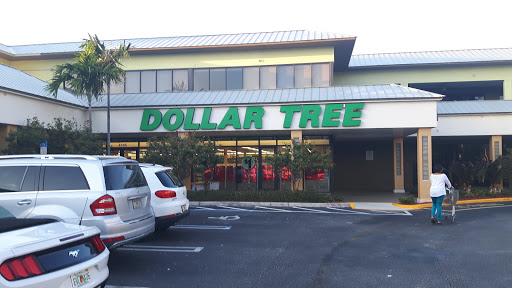 Dollar Store «Dollar Tree», reviews and photos, 4745 N Ocean Dr, Sea Ranch Lakes, FL 33308, USA