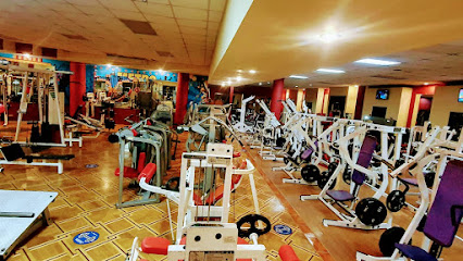 GENESIS GYM