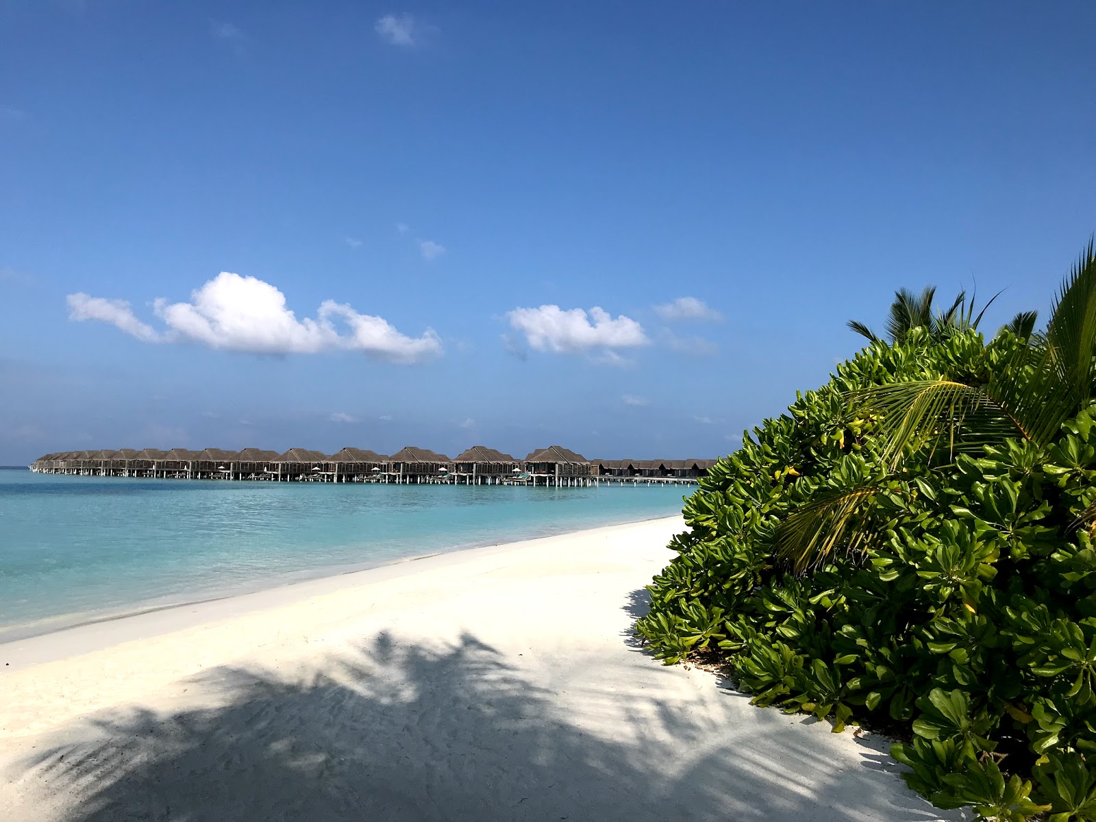 Foto di Spiaggia dell'Isola Kihavah Huravalhi con una superficie del sabbia bianca fine