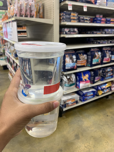 Pet Supply Store «PetSmart», reviews and photos, 19320 Nordhoff Way, Northridge, CA 91324, USA