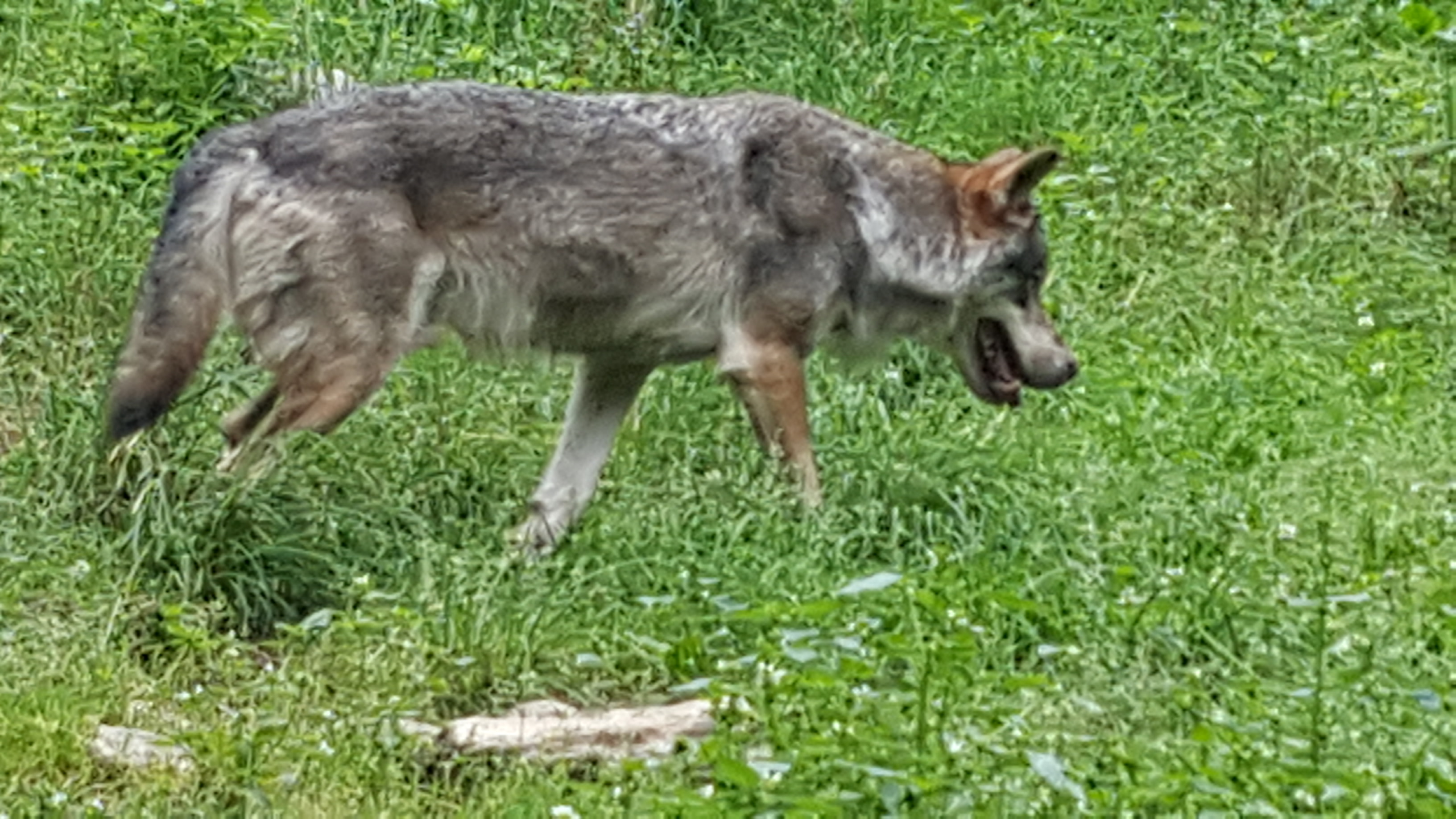 Photo n° 3 de l'avis de Fabrice.u fait le 28/07/2020 à 13:09