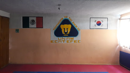 Taekwondo Pumas Ecatepec