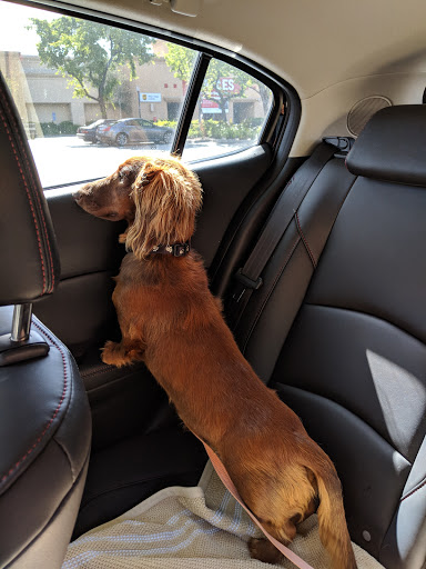 Pet Supply Store «Pet Food Express», reviews and photos, 2158 Contra Costa Blvd, Pleasant Hill, CA 94523, USA