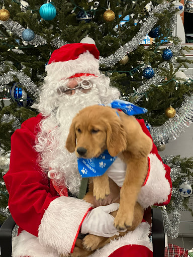 Subaru Dealer «Dunning Subaru», reviews and photos, 3771 Jackson Rd, Ann Arbor, MI 48103, USA