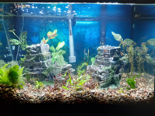 Pet Store «Just Pets», reviews and photos, 393 NY-5, Irving, NY 14081, USA