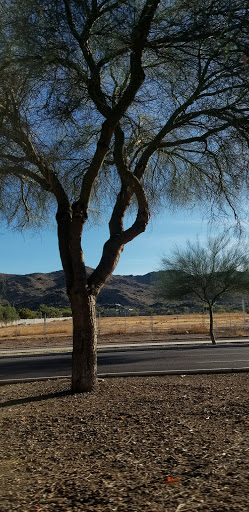 Golf Course «Raven Golf Club - Phoenix», reviews and photos, 3636 E Baseline Rd, Phoenix, AZ 85042, USA