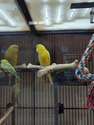 Pet Supply Store «PetSmart», reviews and photos, 1183 Berkshire Blvd, Wyomissing, PA 19610, USA