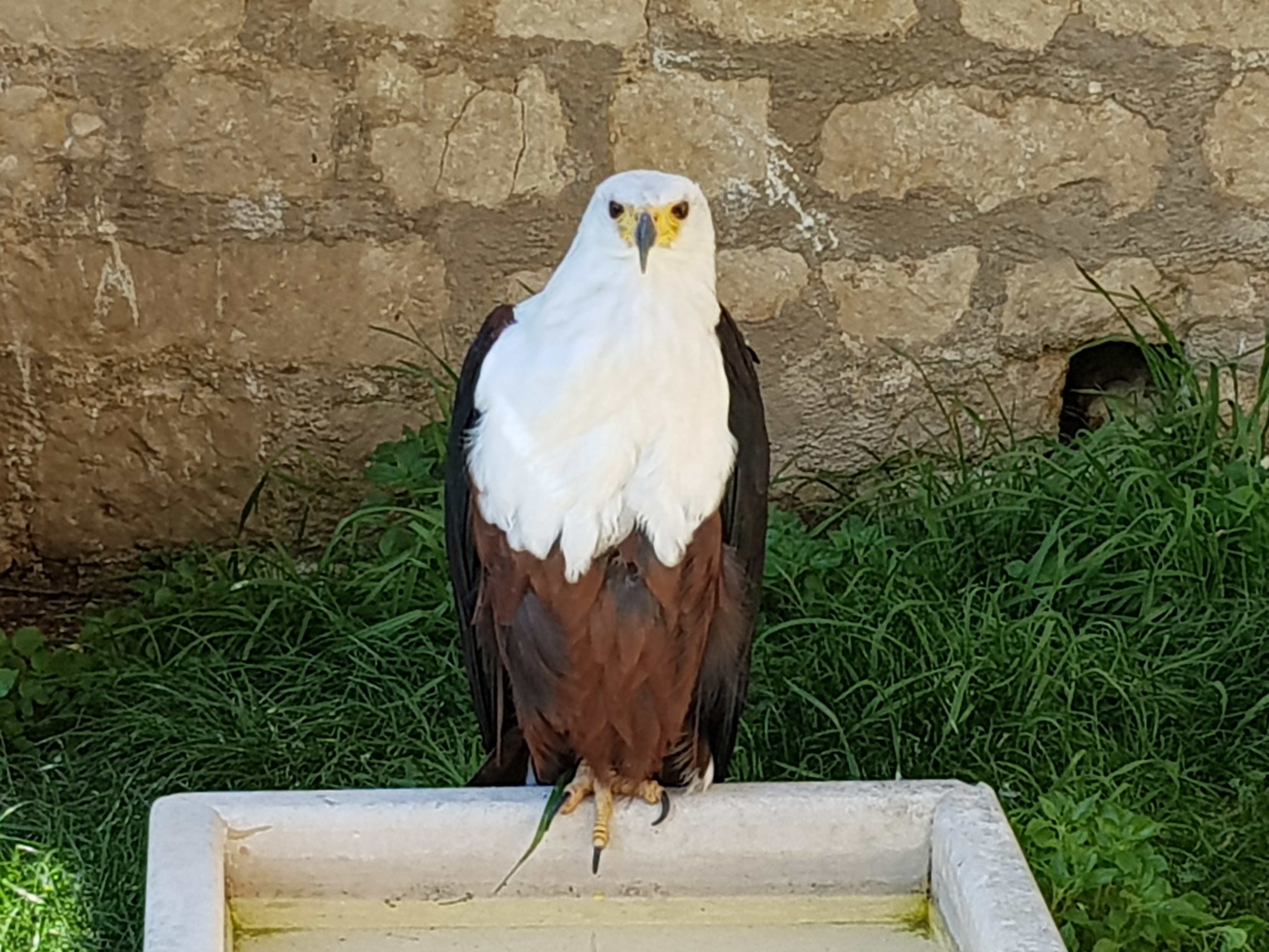 Photo n° 1 de l'avis de VIA.3 fait le 29/04/2018 à 21:43