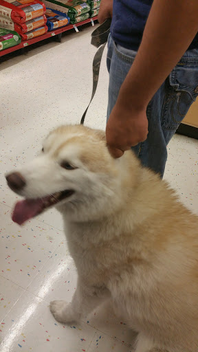 Pet Supply Store «Petco Animal Supplies», reviews and photos, 1049 S Willow St, Manchester, NH 03103, USA