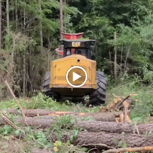 Shoe Store «Timberland Factory Store», reviews and photos, 800 Steven B Tanger Blvd #602, Commerce, GA 30529, USA