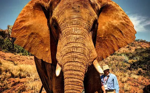 Elephant Sanctuary Hartbeespoort image