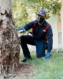 Rumble Fish Pest Control - Photo 6 - Car repair in Upland, CA, Ontario