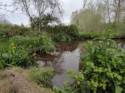 Parco rurale della Cervelletta