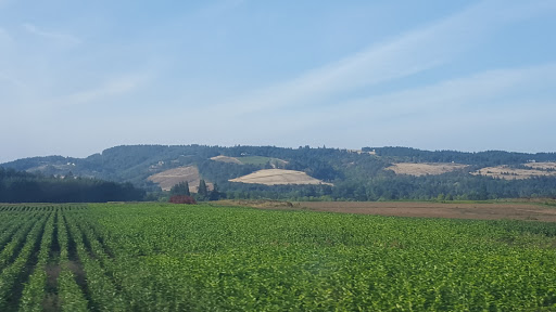 Golf Course «Chehalem Glenn Golf Course», reviews and photos, 4501 E Fernwood Rd, Newberg, OR 97132, USA