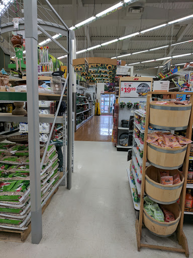 Hardware Store «Capitol Ace Hardware», reviews and photos, 438 Blue Valley Dr, Bangor, PA 18013, USA