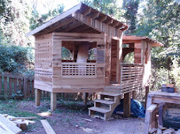 Sunrise Sawmill, Inc. - Photo 5 - Car repair in Asheville, NC, Asheville