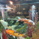 Photo n°34 de l'avis de SILVIA-.U fait le 21/11/2021 à 20:49 sur le  La Bussola di Colombo à Milan