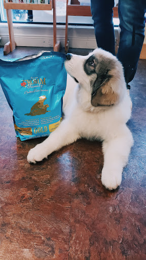 Pet Store «Pet Palace Nutrition & Boutique», reviews and photos, 3233 SE Maricamp Rd #101, Ocala, FL 34471, USA