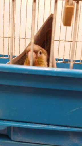 Pet Store «Pet World Warehouse Outlet», reviews and photos, 2984 S 108th St, Milwaukee, WI 53227, USA