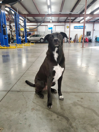 Auto Repair Shop «Schmidt Auto Care», reviews and photos, 817 W Central Ave, Springboro, OH 45066, USA