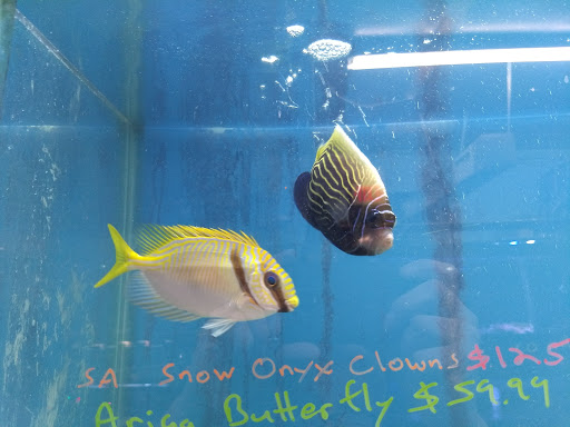 Shopping Mall «Chester Shopping Mall», reviews and photos, 23 W Main St, Chester, NJ 07930, USA