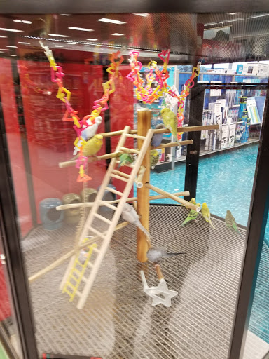 Pet Supply Store «Petco Animal Supplies», reviews and photos, 9078 SE Sunnyside Rd, Clackamas, OR 97015, USA