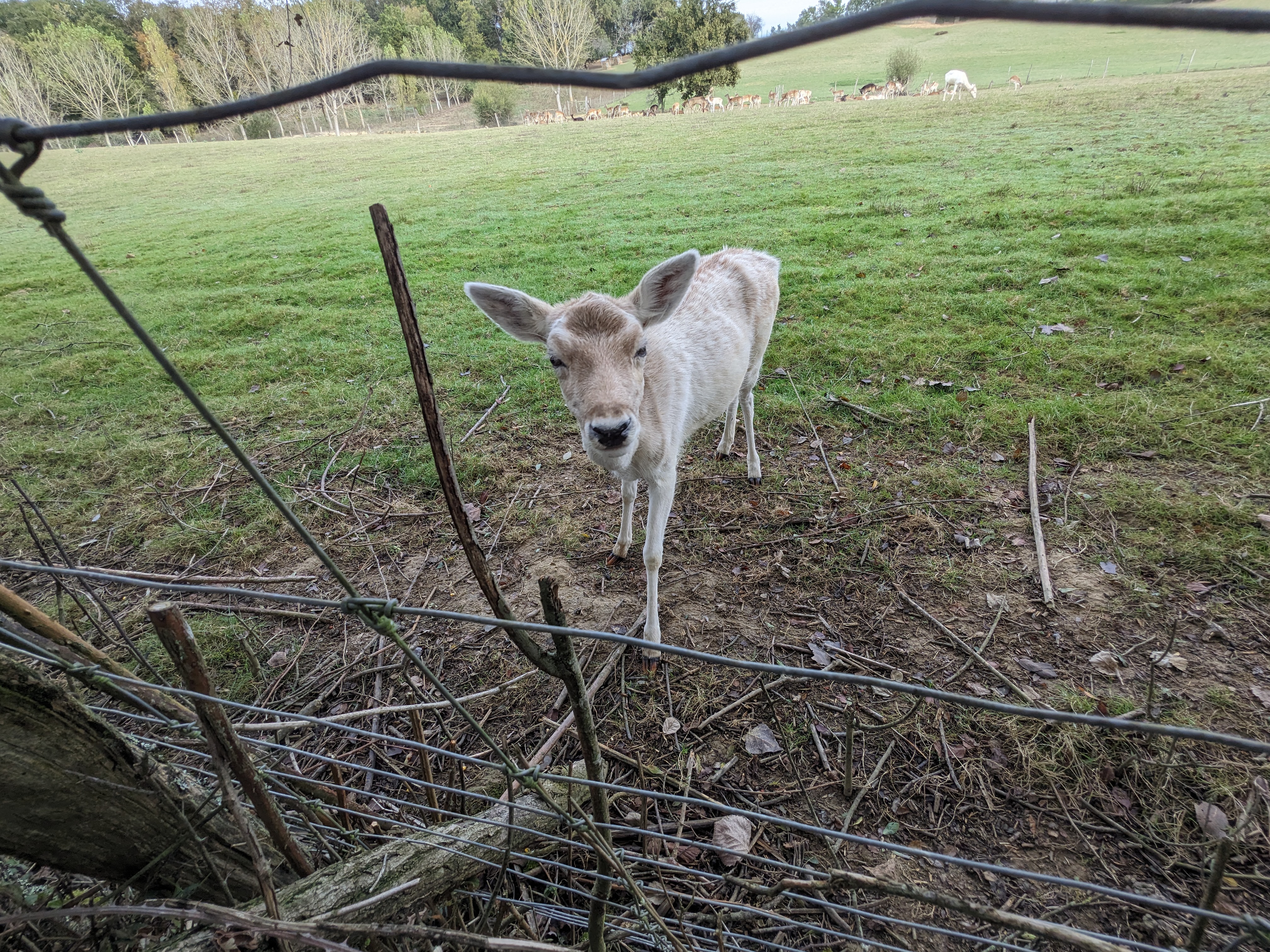 Photo n° 8 de l'avis de jean-guy.o fait le 06/11/2023 à 14:46
