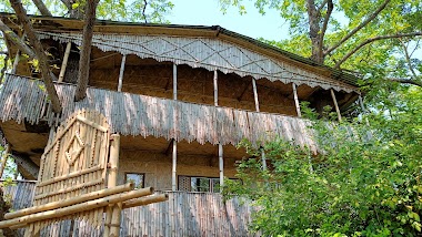 Jahnavi Kunja - Eco Yoga Ashram