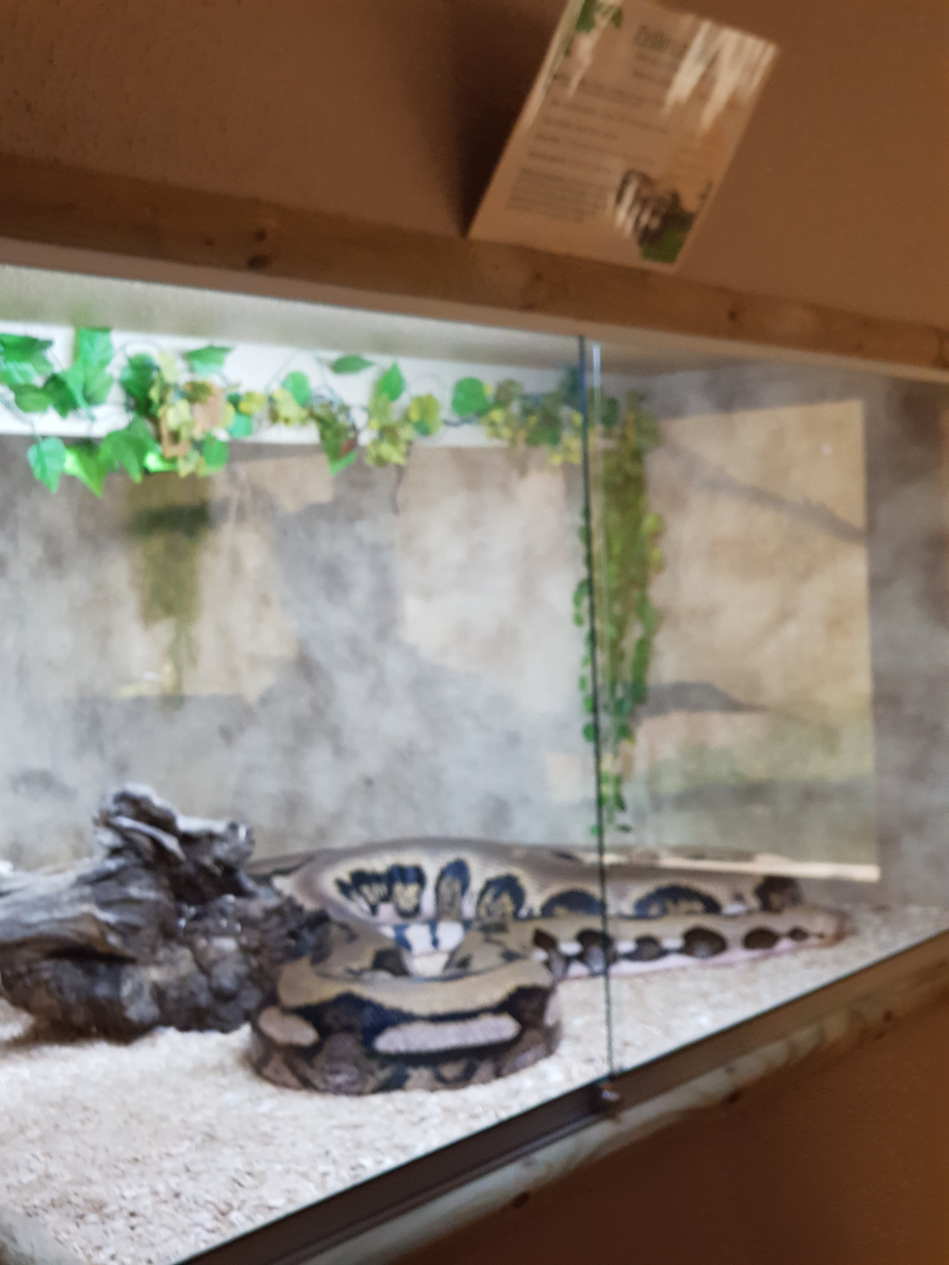 Photo n° 1 de l'avis de Jessica.a fait le 29/07/2021 à 18:12