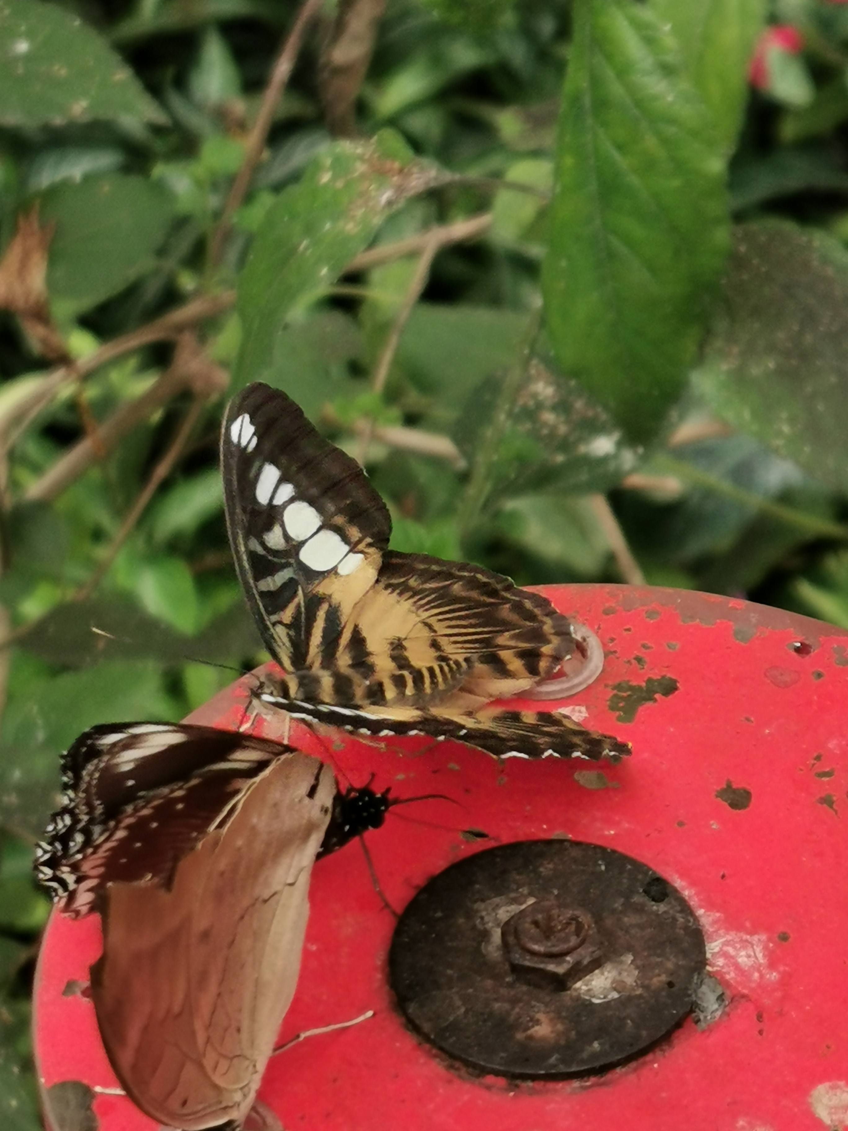 Photo n° 28 de l'avis de Hugues-92. fait le 30/05/2021 à 15:15