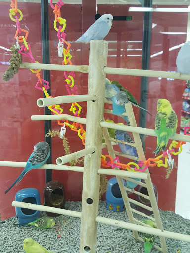 Pet Supply Store «Petco Animal Supplies», reviews and photos, 15790 South La Grange Road, Orland Park, IL 60462, USA