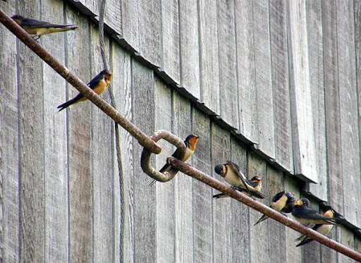 Golf Course «​​​​​Leslie Park Golf Course», reviews and photos, 2120 Traver Rd, Ann Arbor, MI 48105, USA