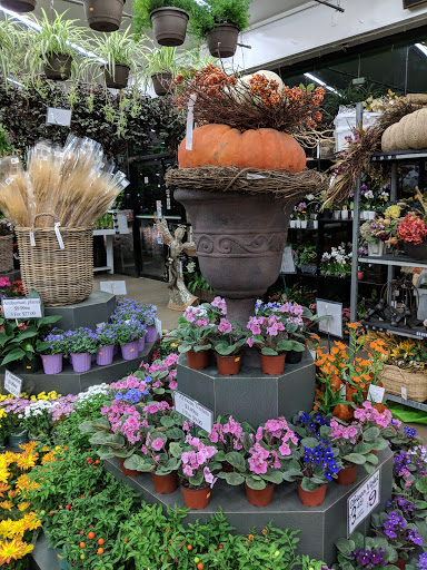 Florist «Metropolitan Plant & Flower», reviews and photos, 840 NJ-17, Paramus, NJ 07652, USA