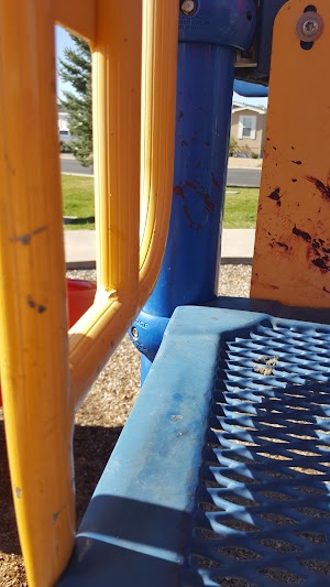 Cave Creek - photo 19