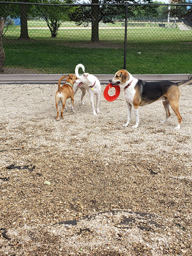 Dog Park «Norwood Park Dog Friendly Area», reviews and photos, 5850 N Avondale Ave, Chicago, IL 60631, USA
