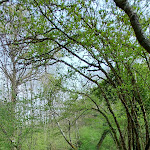 Photo n° 5 de l'avis de wilfrid.i fait le 24/04/2022 à 13:57 pour La Roche d'Oëtre à Saint-Philbert-sur-Orne