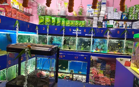 Bhadohi Fish Aquarium image