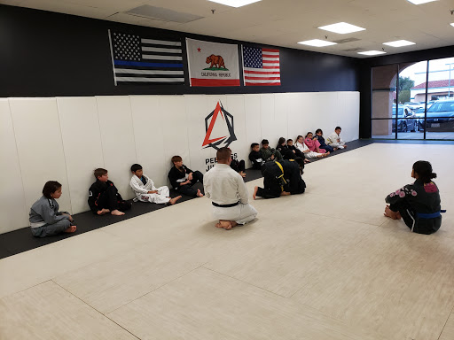 Peerless Jiu Jitsu BJJ