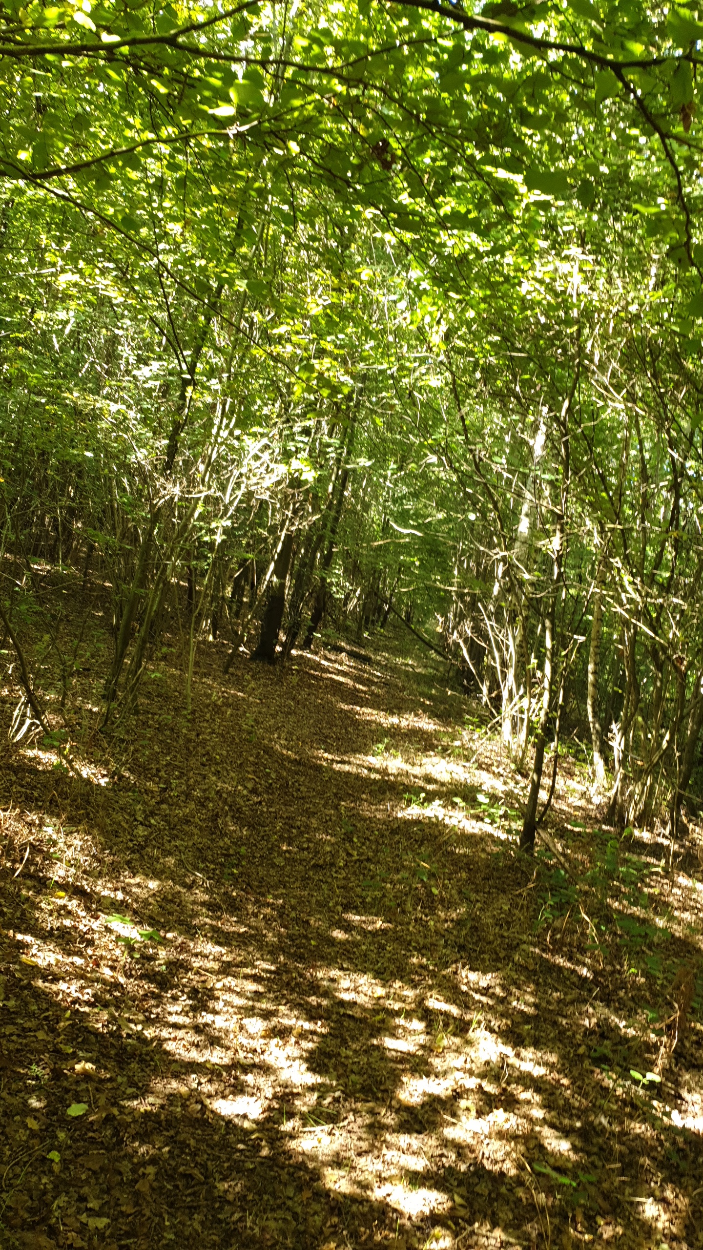 Photo n° 6 de l'avis de Freddy. fait le 01/10/2023 à 12:38