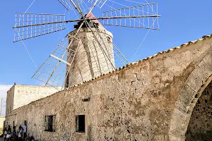 Salt Museum image