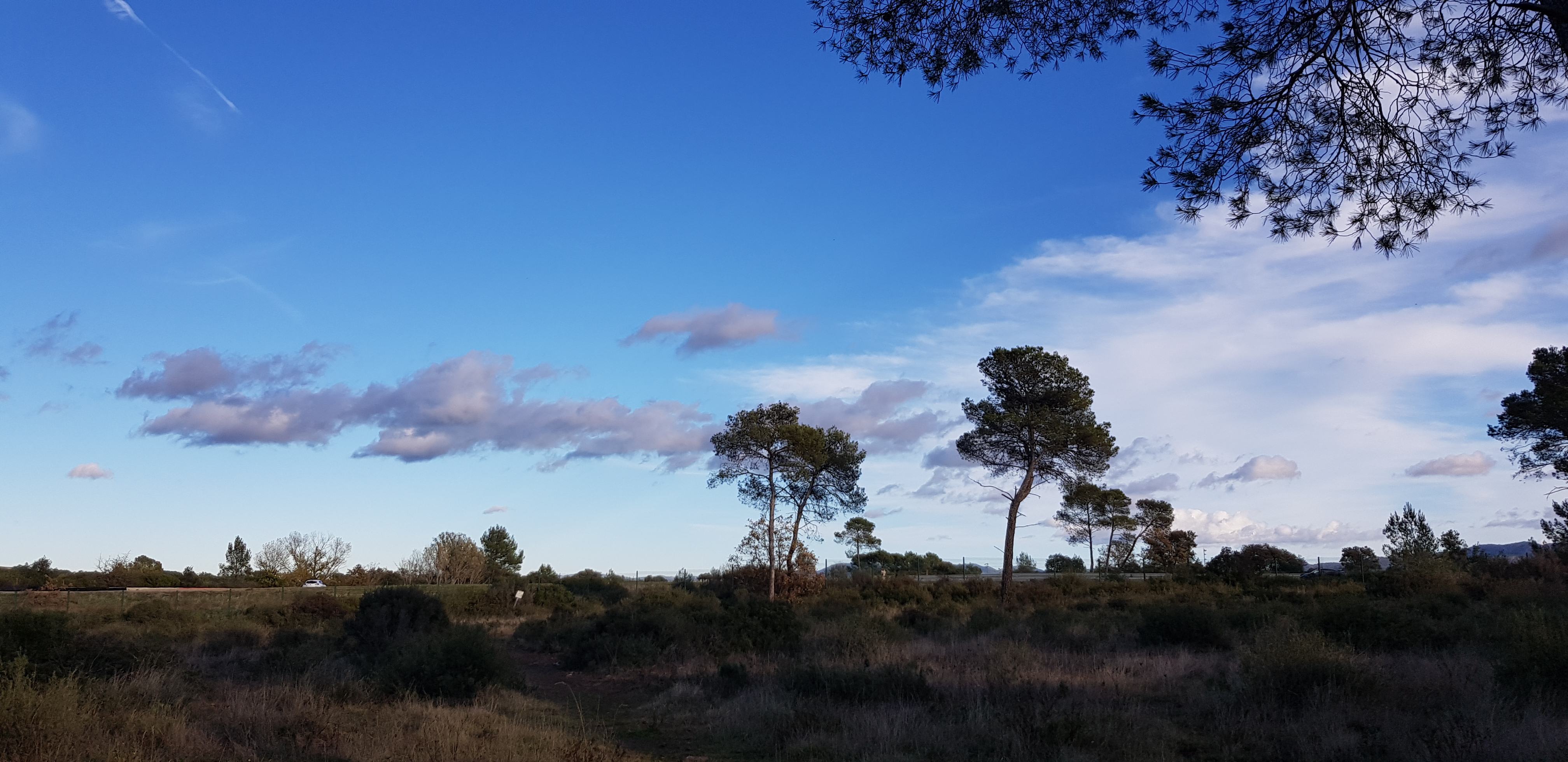 Photo n° 4 de l'avis de Cathy.e fait le 15/12/2019 à 19:45