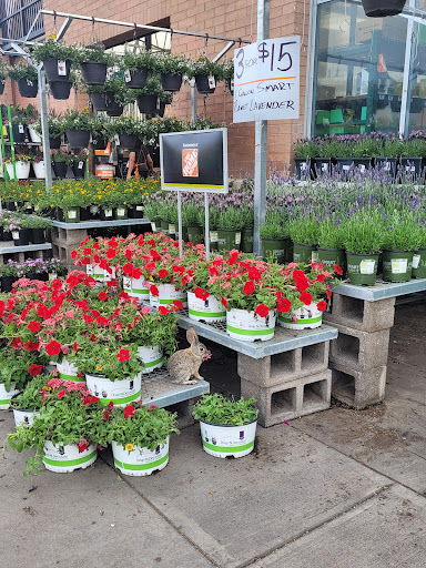 Home Improvement Store «The Home Depot», reviews and photos, 9890 N 90th St, Scottsdale, AZ 85258, USA