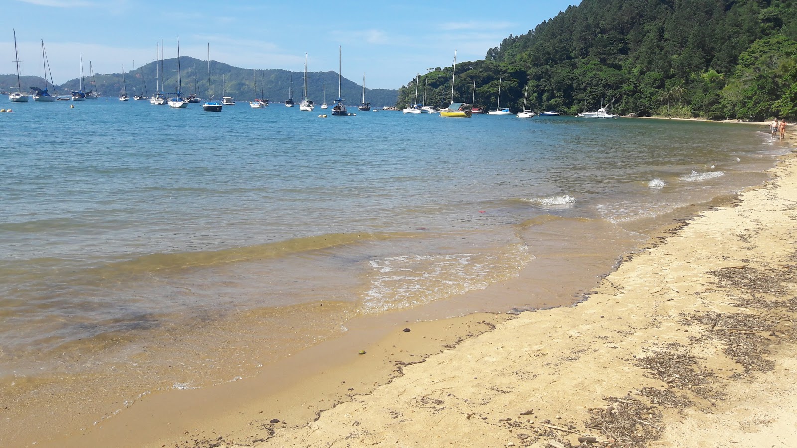 Foto von Praia da Ribeira wilde gegend